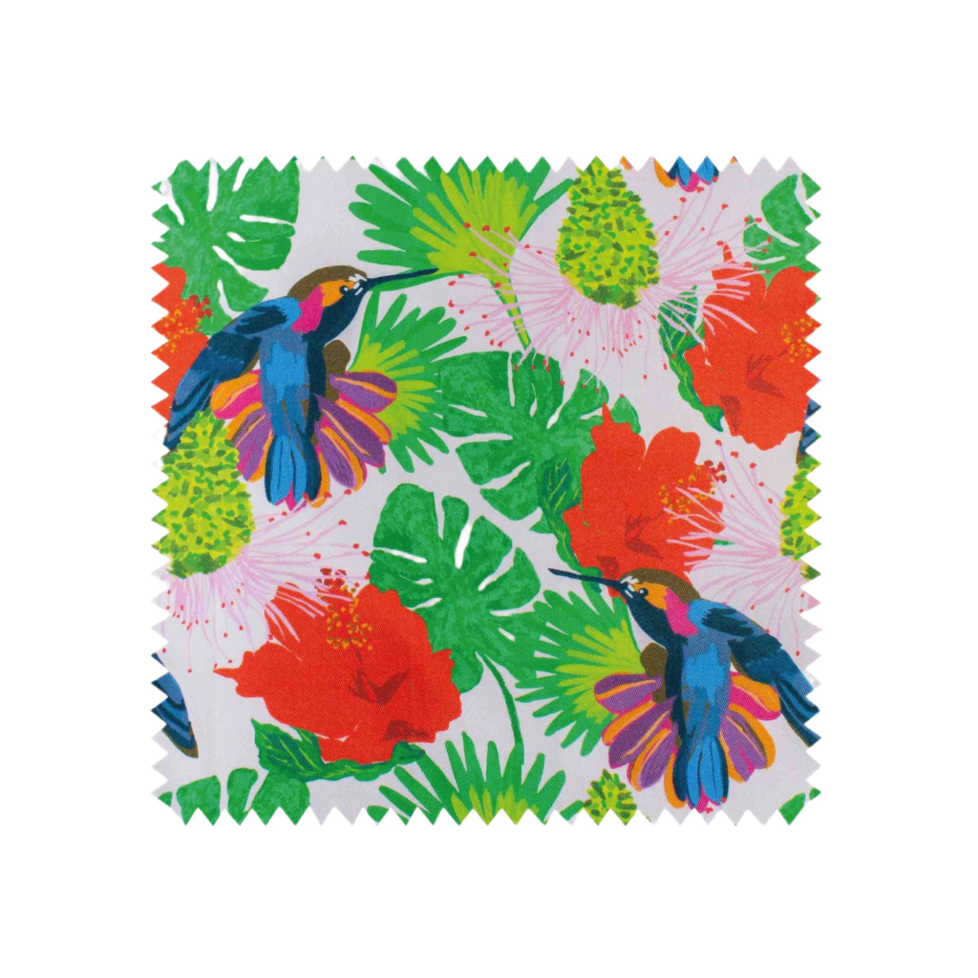 Mayajoy hand illustrated colourful hummingbird design swatch with pink background, blue, green and red 